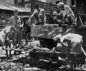 Men unloading corpses from truck in preparation for cremation after bloody rioting between Hindus and Muslims 2 Calcutta (Kolkata) 1946