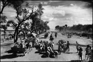Sikhs migrating to Punjab after the division of India_October 1947_thumb[4]