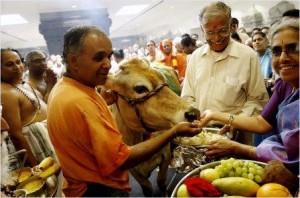 cow-puja